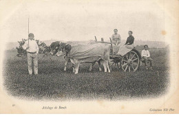 AGRICULTURE AD#MK245 ATTELAGE DE BOEUFS - Spannen