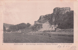 BOUILLON - Site Sauvage - Chateau Et Champ De L'Eveque - Bouillon