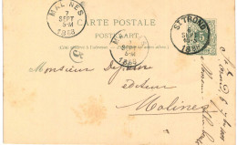 (Lot 01) Entier Postal  N° 45 5 Ct écrite De St Trond Vers Malines - Briefkaarten 1871-1909