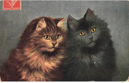 CHATS AG#MK068 DEUX CHATS MARRON ET NOIR AUX YEUX JAUNE - Cats