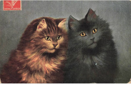 CHATS AG#MK068 DEUX CHATS MARRON ET NOIR AUX YEUX JAUNE - Gatti