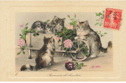 CHATS AG#MK066 SOUVENIR D AMITIE CHATS AVEC UNE BROUETTE DE FLEURS ROSES - Gatti