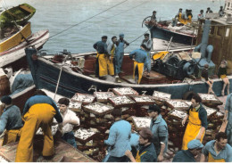 56 QUIBERON  AH#AL00989 DECHARGEMENT DE LA SARDINE A PORT MARIA - Quiberon