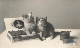 CHATS AF#DC503 CHATS + PUBLICITE POUR CIGARES VICTORIA - Cats