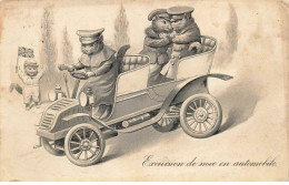 CHATS AF#DC486 CHAT EN EXCURSION DE NOCE EN AUTOMOBILE TACOT - Cats