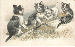 CHATS AF#DC483 CHATONS JOUANTS SUR UNE BALANCOIRE - Cats