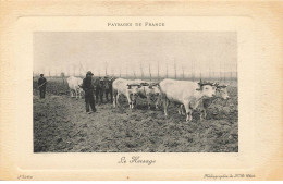 AGRICULTURE AG#MK758 PAYSAGES DE FRANCE LE HERSAGE ATTELAGE BOEUFS - Attelages