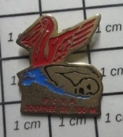 SP12 Pin's Pins / Beau Et Rare / SPORTS / NATATION  NAGEUR CHAUVE PELICAN ROUGE  PCVA JOURNEE DU 100 M - Nuoto