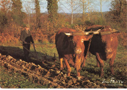 AGRICULTURE AG#MK763 LE LABOUREUR ATTELAGE BOEUFS - Attelages