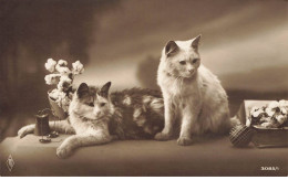 CHATS AI#DC996 DEUX CHATS SUR UN ETABLE DES FLEURS UN LIVRE - Cats