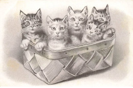 CHATS AI#DC952 CHATS DANS UNE CORBEILLE - Cats