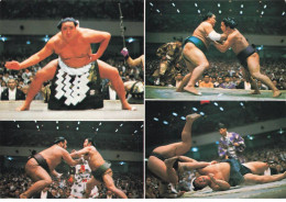 LUTTE AL#AL00538 SUMO LUCHA JAPONESA LLAMADA SUMO - Lucha