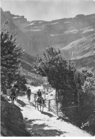 65 GAVARNIE AJ#MK490 SUR LE CHEMIN DU CIRQUE ANES - Gavarnie