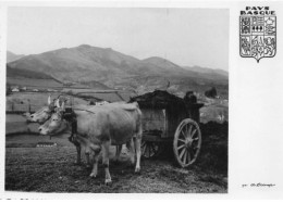 64 PYRENEES ATLANTIQUES AJ#MK485 ATTELAGE BASQUE BOEUFS - Otros & Sin Clasificación