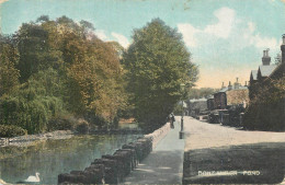 England Bonchurch - Pond - Other & Unclassified