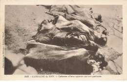 MAROC AM#DC337 CAMPAGNE DU RIFF CAGAVRES RIFFAIN APPORTES PAR DES PARTISANS - Casablanca