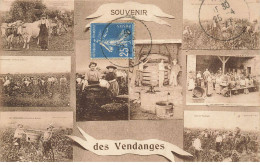 METIERS AO#AL000826 SOUVENIR DES VENDANGES - Campesinos