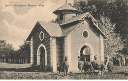 ARGENTINE AP#DC278 BUENOS AIRES JARDIN ZOOLOGIQUE DES LAMAS - Argentina