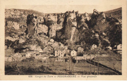 81 POUGNADOIRE AN#MK1011 GORGES DU TARN VUE GENERALE - Sonstige & Ohne Zuordnung