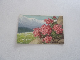 Genève - Rhododendrons Et Mont-Blanc - S. 12/2 - Editions Cela - Switzerland - Année 1935 - - Flowers
