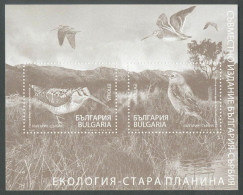 Bulgaria, 2009, Birds, Special Souvenir Sheet - Autres & Non Classés