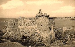 Ile D'yeu * Carte Photo * Le Vieux Château - Ile D'Yeu