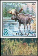 Transnistria 2024 "Year Of The Dark Elk" 1v Imperforated Quality:100% - Moldavie