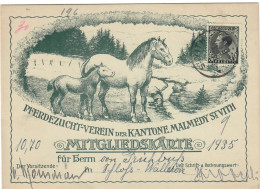St Vith Schloss Wallerode Von Frühbuss 1935 Mitgliedskarten Pferde - Schweinezucht  Kanton Malmedy St Vith - Sankt Vith