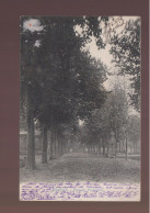 CPA - 42 - Roanne - Place Des Promenades - Circulée En 1915 - Roanne