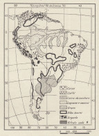 Prodotti Vegetali E Minerali Dell'America Meridionale - Mappa - 1936 Map - Carte Geographique