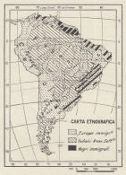 Razze E Popoli Dell'America Meridionale - Mappa D'epoca - 1936 Vintage Map - Carte Geographique