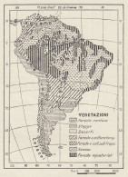 Flora E Fauna Dell'America Meridionale - Mappa D'epoca - 1936 Vintage Map - Carte Geographique