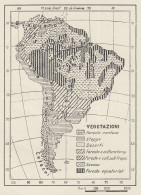 Flora E Fauna Dell'America Meridionale - Mappa D'epoca - 1936 Vintage Map - Cartes Géographiques