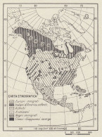 America Settentrionale - Popoli E Religioni - Mappa D'epoca - 1936 Old Map - Landkarten