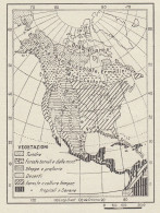 America Settentrionale - Zone Di Vegetazione - Mappa D'epoca - 1936 Map - Carte Geographique