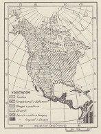 America Settentrionale - Zone Di Vegetazione - Mappa D'epoca - 1936 Map - Geographical Maps