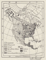 America Settentrionale - Prodotti Vegetali E Animali - Mappa - 1936 Map - Carte Geographique