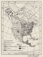 America Settentrionale - Prodotti Vegetali E Animali - Mappa - 1936 Map - Geographical Maps