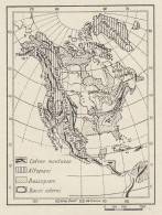 America Settentrionale - Morfologia - Mappa D'epoca - 1936 Vintage Map - Carte Geographique