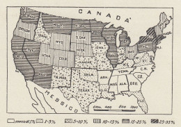 Divisione Degli Stati Uniti E Percentuali Di Stranieri - Mappa - 1936 Map - Geographische Kaarten