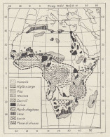 Africa - Prodotti Vegetali E Animali - Mappa D'epoca - 1936 Vintage Map - Geographische Kaarten