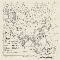 Asia - Prodotti Vegetali E Animali - Mappa D'epoca - 1936 Vintage Map - Carte Geographique