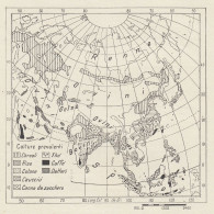 Asia - Prodotti Vegetali E Animali - Mappa D'epoca - 1936 Vintage Map - Landkarten