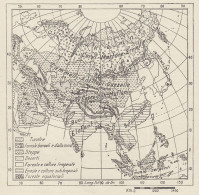 Asia - Flora E Fauna - Mappa D'epoca - 1936 Vintage Map - Carte Geographique