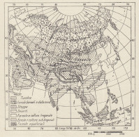Asia - Flora E Fauna - Mappa D'epoca - 1936 Vintage Map - Geographische Kaarten