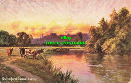 R608572 Surrey. Guildford Castle. S. Hildesheimer. Series No. 5401. 1906 - Mondo