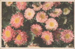 FIORI Vintage Cartolina CPA #PKE700.IT - Fleurs