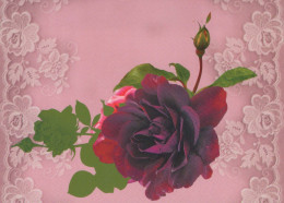 FIORI Vintage Cartolina CPSM #PBZ104.IT - Fleurs