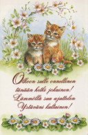 GATTO KITTY Animale Vintage Cartolina CPSM #PBQ985.IT - Chats