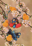 PASQUA POLLO UOVO Vintage Cartolina CPSM #PBP131.IT - Easter